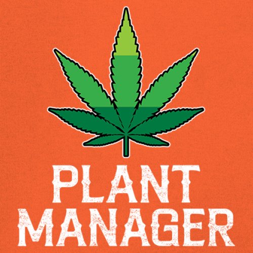 Plant Manager Sweatshirt Funny Pot Leaf Smoking 420 Marijuana Cannabis Hoodie - Picture 11 of 43