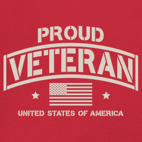 Proud Veteran Women's V-Neck T-shirt Veteran's Day Military American Flag Tee - Picture 18 of 36