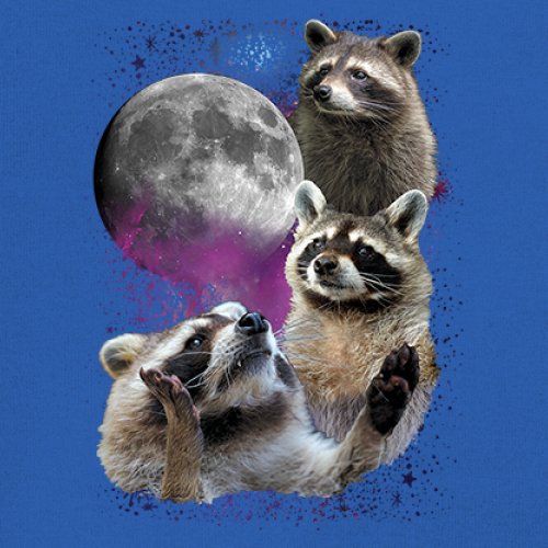 Racoons Howling at the Moon Youth T-shirt Funny Wildlife Animal in Space Kids - Picture 39 of 50