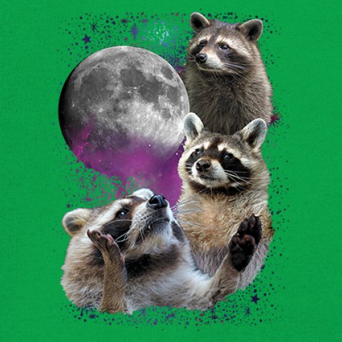 Racoons Howling at the Moon Youth T-shirt Funny Wildlife Animal in Space Kids - Picture 32 of 50