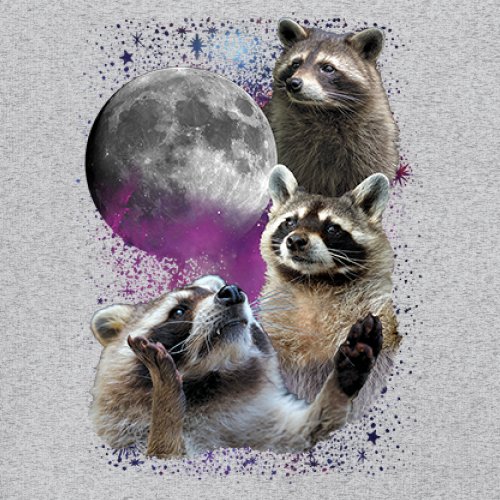 Racoons Howling at the Moon Youth T-shirt Funny Wildlife Animal in Space Kids - Picture 11 of 50
