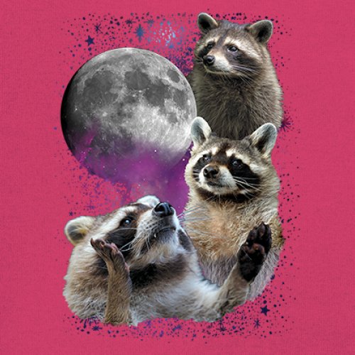 Racoons Howling at the Moon Youth T-shirt Funny Wildlife Animal in Space Kids - Picture 46 of 50