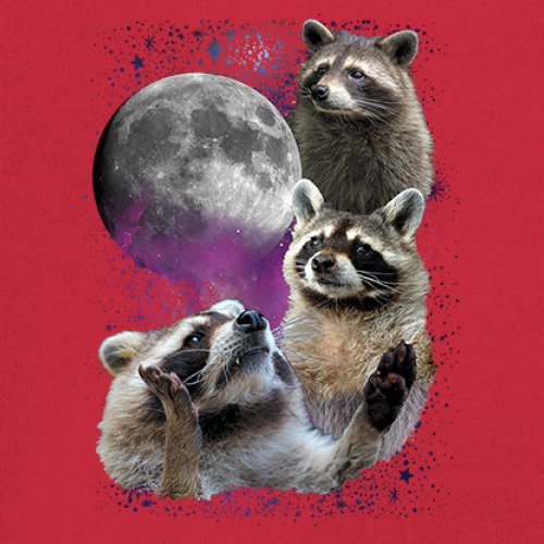 Racoons Howling at the Moon Youth T-shirt Funny Wildlife Animal in Space Kids - Picture 18 of 50