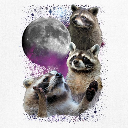 Racoons Howling at the Moon Youth T-shirt Funny Wildlife Animal in Space Kids - Picture 25 of 50