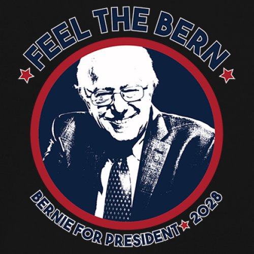 Feel The Bern 2028 Youth T-shirt Bernie Sanders For President Vote Kids - Picture 4 of 50