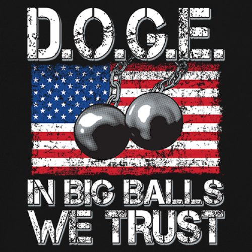 ALTRA Camicia muscolare D.O.G.E Big Balls umorismo patriottico GOP sarcastico politico uomo