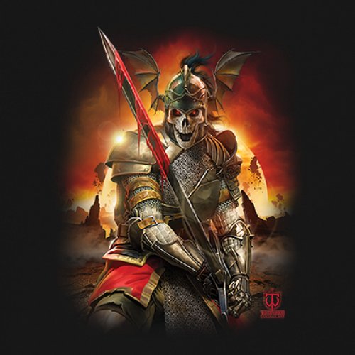 Apocalypse Reaper Youth T-shirt Fantasy Skeleton Knight Sword Dragon Kids - Picture 4 of 50