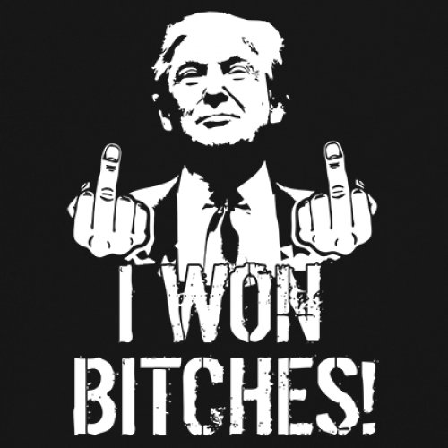 I Won - 47th President Donald Trump 2024 T-shirt Funny MAGA Fingers Men's Tee - Picture 4 of 71