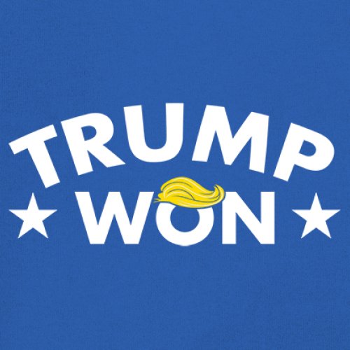 Trump Won Youth T-shirt 47th President MAGA 2024 America First Republican Kids - Picture 32 of 43