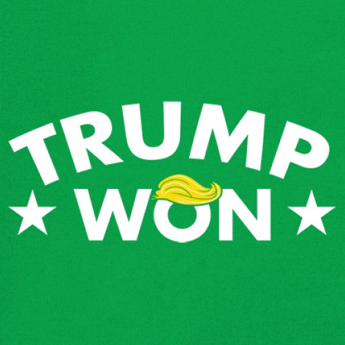 Trump Won Youth T-shirt 47th President MAGA 2024 America First Republican Kids - Picture 25 of 43