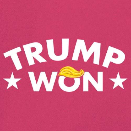 Trump Won Youth T-shirt 47th President MAGA 2024 America First Republican Kids - Picture 39 of 43