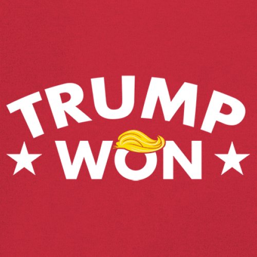Trump Won Youth T-shirt 47th President MAGA 2024 America First Republican Kids - Picture 4 of 43