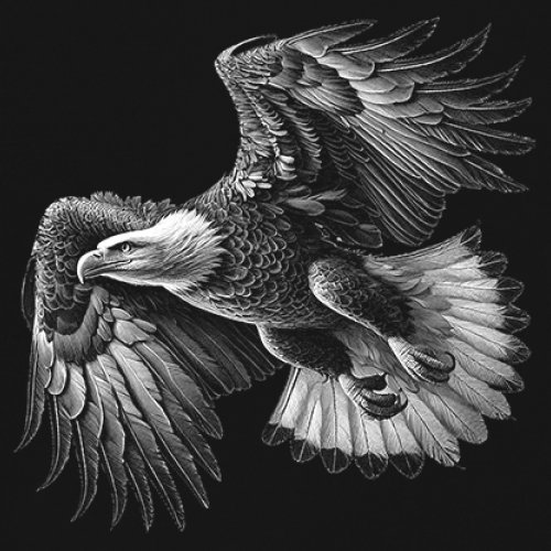 Flying Eagle Portrait Youth T-shirt Soaring Bird Wings Wildlife Nature Kids - Picture 4 of 8