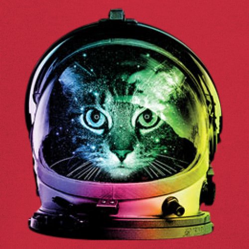 Space Cat Youth T-Shirt Astronaut Kitten Neon Galaxy Tee - Picture 52 of 56