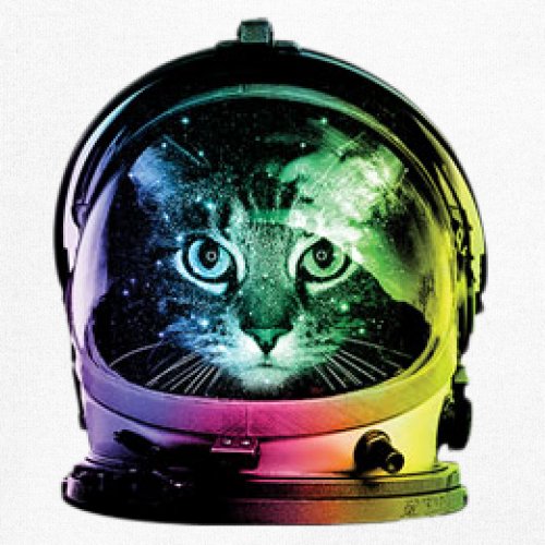 Space Cat Youth T-Shirt Astronaut Kitten Neon Galaxy Tee - Picture 17 of 56