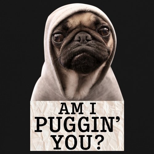 Am I Puggin You Youth T-shirt Funny Pug Puppy Dog Mom Pet Pug Dad Kids - Picture 4 of 50