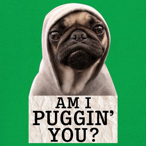 Am I Puggin You Youth T-shirt Funny Pug Puppy Dog Mom Pet Pug Dad Kids - Picture 32 of 50