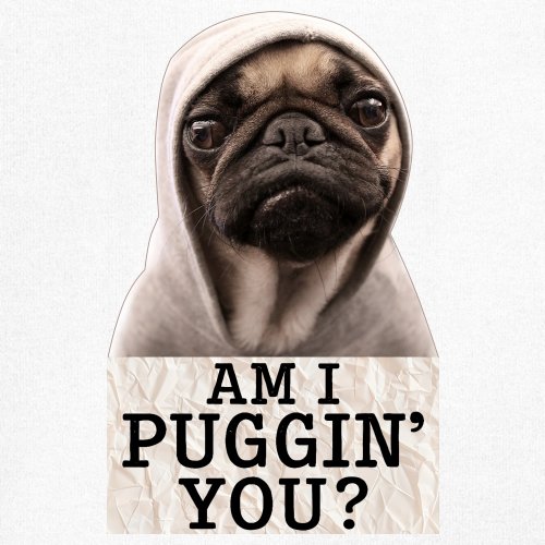 Am I Puggin You Youth T-shirt Funny Pug Puppy Dog Mom Pet Pug Dad Kids - Picture 25 of 50