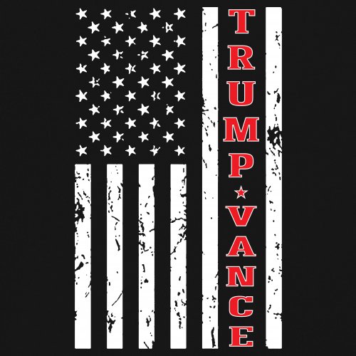 Trump JD Vance 2024 American Flag Youth T-shirt VP Patriotic Vote Red FJB Kids - Picture 11 of 43